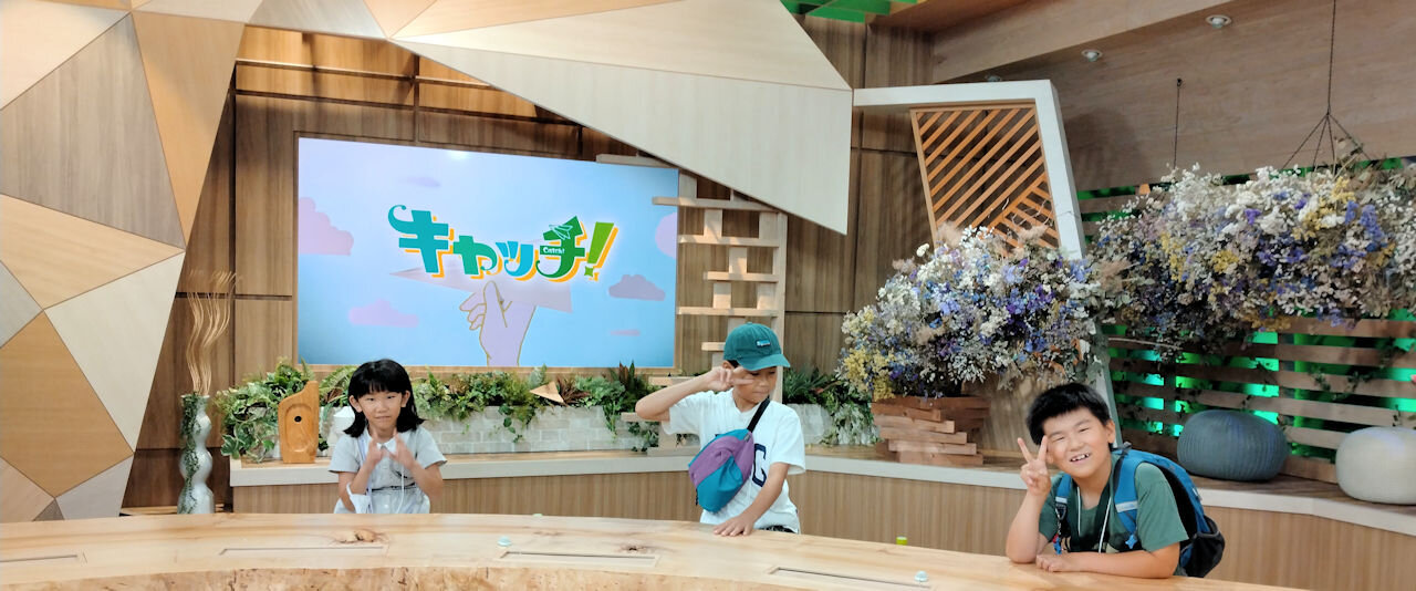 tv1.jpg